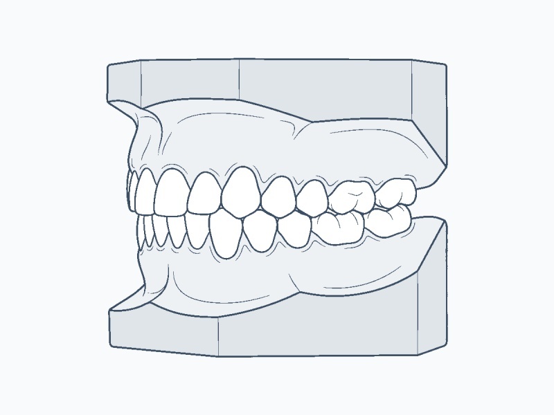 14. Mẫu cắn trái